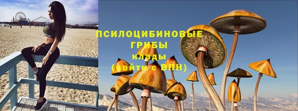 эйфоретик Богородицк