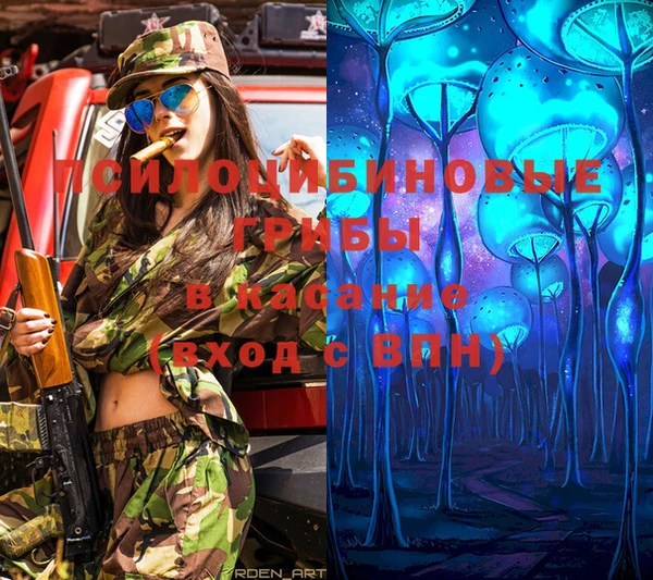 мяу мяу мука Богородск