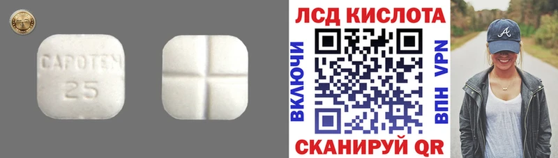 LSD-25 экстази кислота  магазин продажи   Елизово 